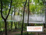 Accrocamp Poissy, le nouvel accrobranche au parc du château de Villiers