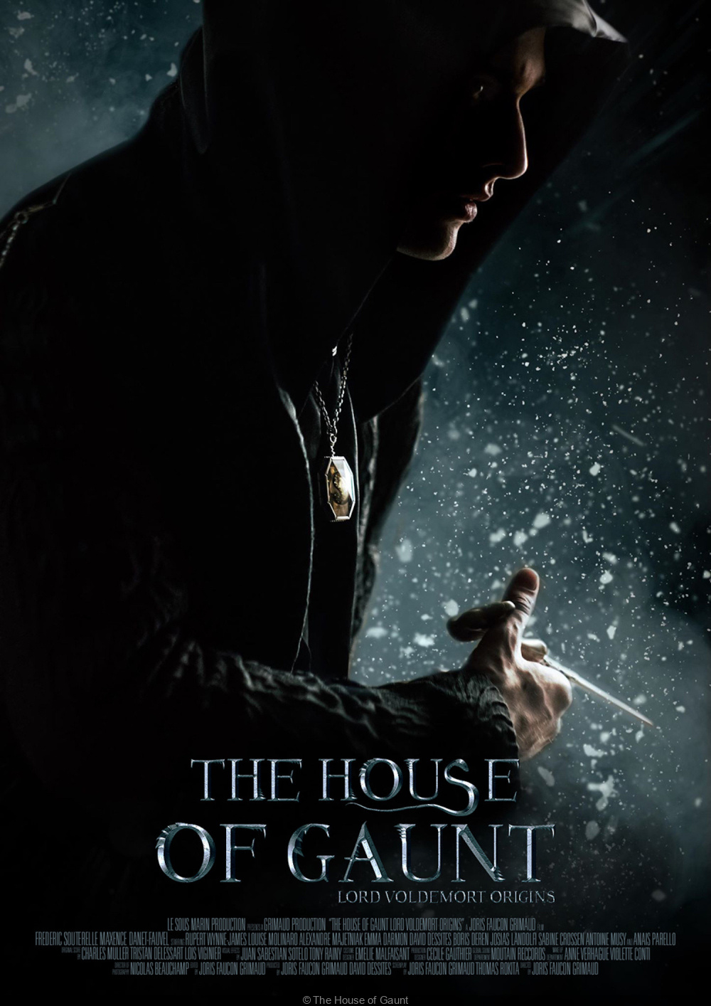 Harry Potter Streaming Suisse Harry Potter : le fanfilm "The House of Gaunt" sur les origines de  Voldemort disponible gratuitement - Sortiraparis.com