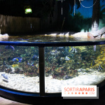 Aquarium Sea Life - IMG 8374