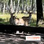 Espace Rambouillet - IMG 4544