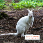 Le village de Janvry en Haute Vallée de Chevreuse  -  A7C0025