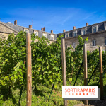 Vignoble Hôtel de Ville