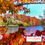 Bassin - étang de la Boissière à Elancourt