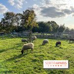 La ferme pédagogique du parc des Chanteraines