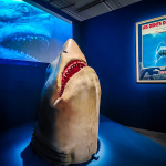 Objectif mer, l'exposition autour du 7e art à découvrir au musée de la Marine - nos photos - IMG20231207112234