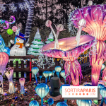 Noël au Parc Astérix 2023, sentier de lumières et patinoire - IMG 4996