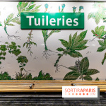Le Métro Tuileries en mode végétal