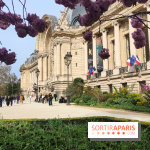 Visuel Paris 8e - Petit Palais printemps cerisiers fleurs 