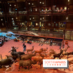 Grande Galerie de l'évolution- visuels 2024 - image00033