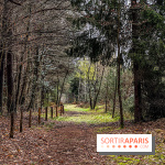 Arbor&Sens, l'Arboretum de Franchard en forêt de Fontainebleau - les photos