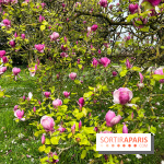 Jardin de l'Ecole du Breuil - nos photos