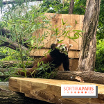 Ménagerie du Jardin des Plantes 2024 - panda