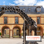 Un dinosaure géant au Château de Dampierre - Jurassique au Château de Dampierre -  A7C8901