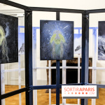 Ylva Snöfrid, exposition Cosmos et Vanitas à l'Institut suédois, nos photos - IMG 6408