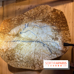 La Grotte Chauvet à la Cité des Sciences, nos photos