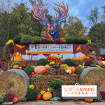 Les Esprits de la Forêt