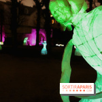 Exposition Silva Lumina au Centre Culturel Irlandais  - Silva Lumina 12 fotor 2025020692052