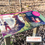 Balade sentier : Conte de Mélida, l'esprit de la forêt en forêt de Méridon (78)