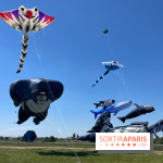 Festival de Cerfs-Volants à la Base 217