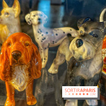 Collection dédié aux chiens
