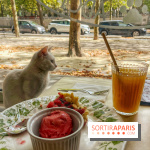 Chat-Rivari Café