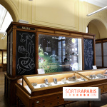 Codex on the Rocks, nos photos de l'expo au Musée de Minéralogie à Paris