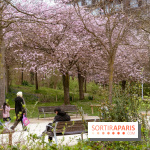 Les cerisiers du parc Martin Luther King - Clichy - Batignoles