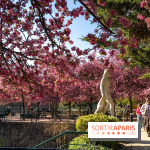 Les pommiers et cerisiers en fleurs du Jardin de Reuilly, Parc de Reuilly à Paris 12e - photos