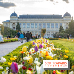 Les floraisons exceptionnelles du Jardin des Plantes 2026 : tulipes, coquelicots et cerisiers - photos