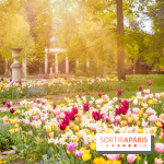 Le Château de Buc et son superbe domaine, parc paysagé aux nombreux trésors - A7C03157 Edit