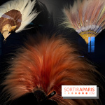Plumes de Paradis, l'expo au musée du Quai Branly - nos photos