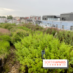 L'aromathèque Persépolis, sur le toit de la bourse du travail à Saint-Denis - nos photos