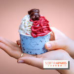 Le comptoir à glaces de Pleincœur et ses coupes glacées - photos