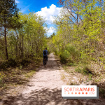 Liaisons douces à Fontainebleau : la forêt à vélo, les photos