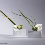 L’art floral japonais à l’honneur : plongez dans la poésie végétale au cœur de Paris !