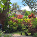 Fête des Parcs et Jardins à Barbizon 2026 : les Jardins du Monde