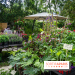 Seine-et-Marne : La Foire aux Plantes à Larchant 2026 : marché, troc et animations - 77