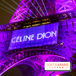 Céline Dion en concert à Paris, pourquoi la jaune est réduite ? 