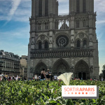 Réouverture du Parvis et de la rue du Parvis de Notre-Dame de Paris
