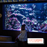 L'Aquarium Tropical de la Porte Dorée se renouvelle 