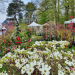 La Fête des Plantes d'automne 2022 à Saint-Jean de Beauregard