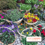 Marché aux plantes et fleurs à Argenteuil 2023: Découvrez la Vallée aux plantes et aux fleurs