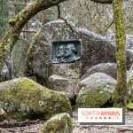 Nuit des Forêts à Fontainebleau 2023 entre art, nature et découvertes gratuites