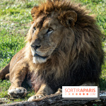 Halloween aux Parcs Zoologiques de Lumigny : Une Aventure Mystérieuse vous attend !