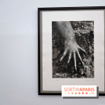 Sebastião Salgado présente son exposition "Genesis Platinum" à la Galerie Polka