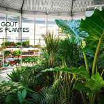 Le Goût des Plantes : nouvelle grande vente de plantes à L'Espace Canal Saint Martin