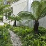 Rendez-Vous aux Jardins au Musée de la Préhistoire de Nemours, le programme