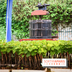 Domaine du bois brillant, la renaissance d'un vignoble historique en île-de-France