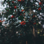 Gouinesmas Village, un marché de Noël queer à la communale de Saint-Ouen (93)