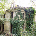 Le bois de la solitude et les ruines de son mystérieux château : une balade romantique en région parisienne